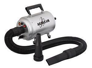 Aeolian Blaster heatable blaster/dryer