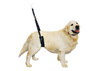 Grooming strap addominale