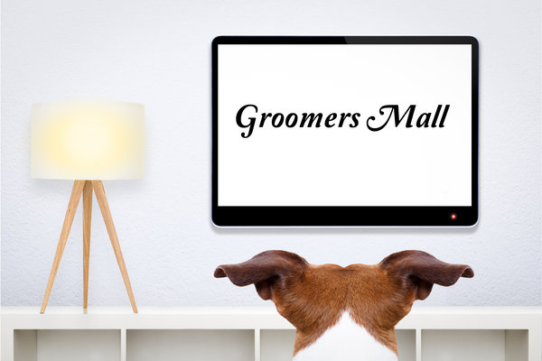 The back of a Jack Russell Terrier's head with ears sticking out looking at a screen on the wall. On the screen is the words "Groomers Mall". Link: Category Video library.